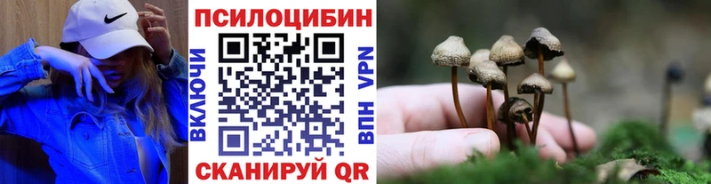 Галлюциногенные грибы Psilocybe  Купить закладки  Москва 
